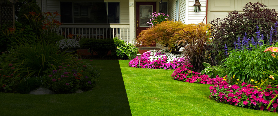 Orange Landscapers